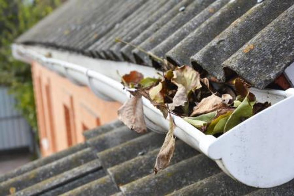 Gutter cleaning austin tx