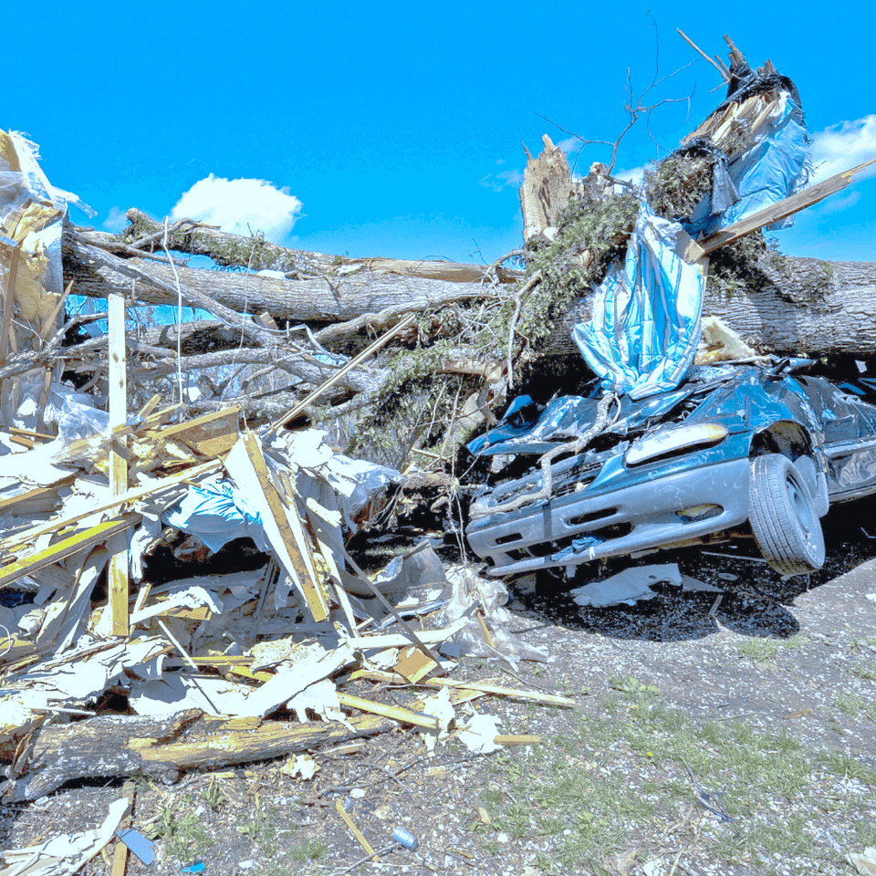 Do insurance companies cover natural disasters