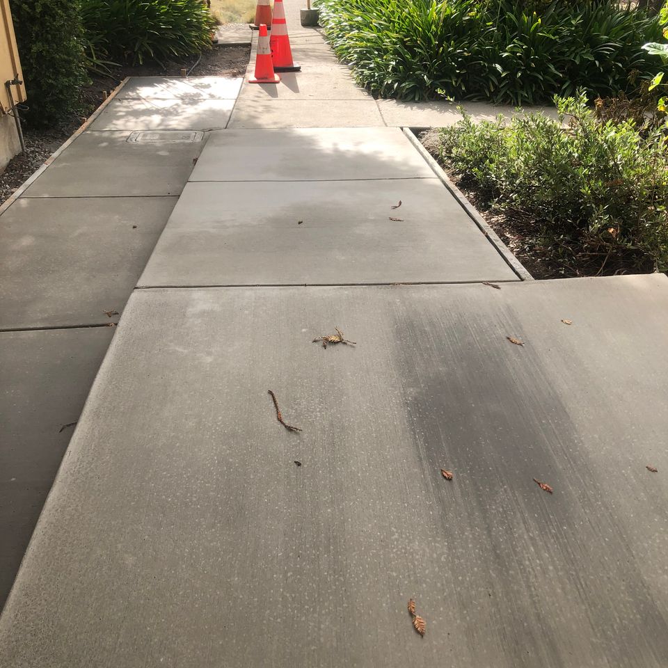 Img 2203