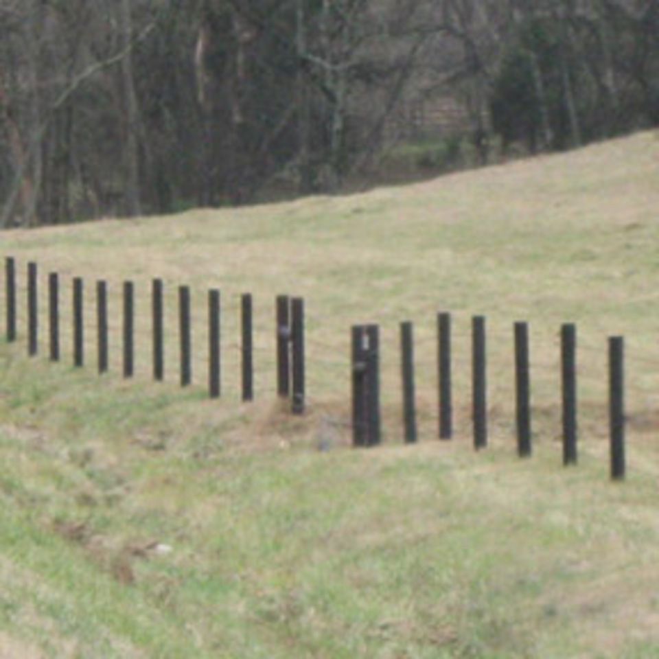 Fivestrandbarbed1600 320150602 29141 1rn32ia