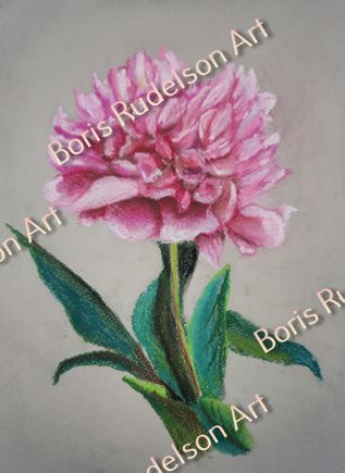 Pastel. Pion