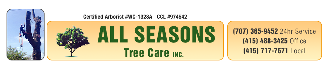 All Seasons Tree Care