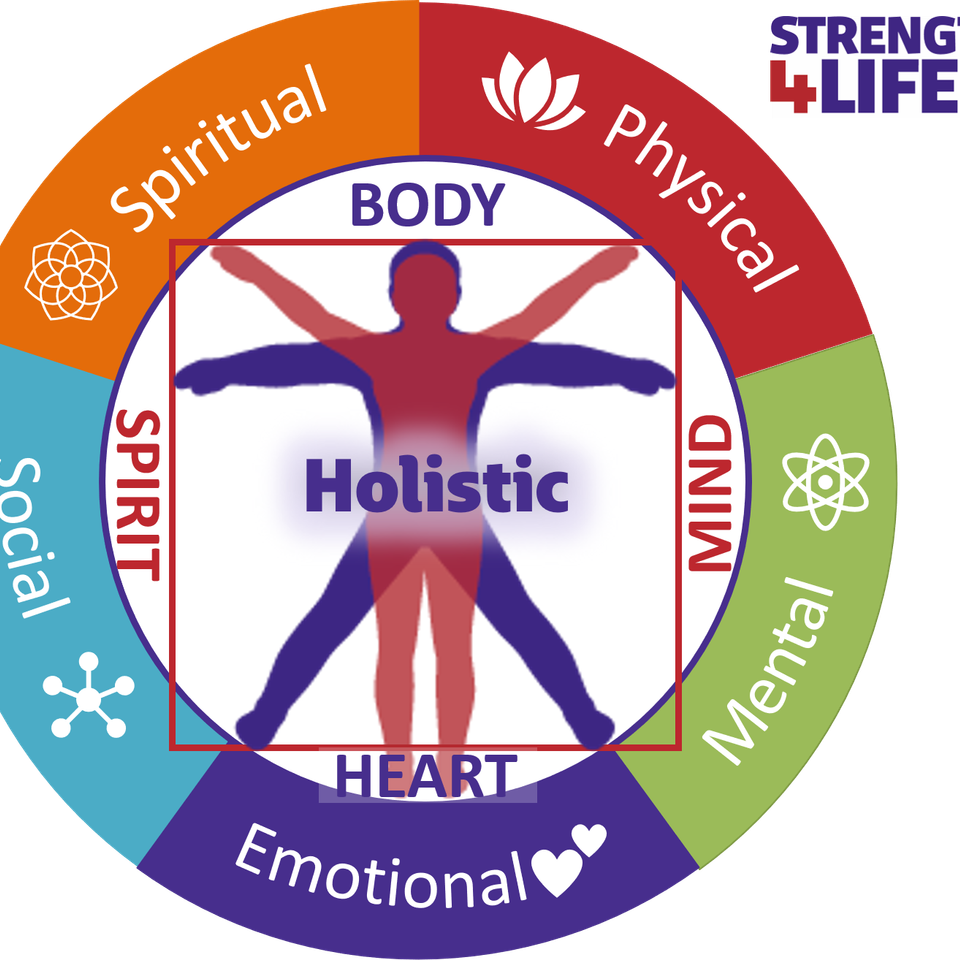 Wellness wheel  2