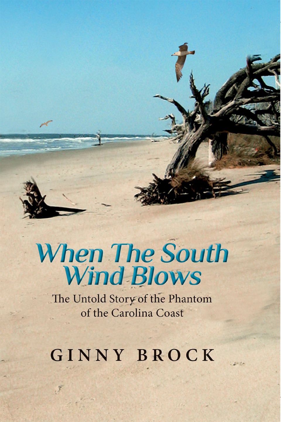 South wind cover 1000 pix long side copy (1) (2)