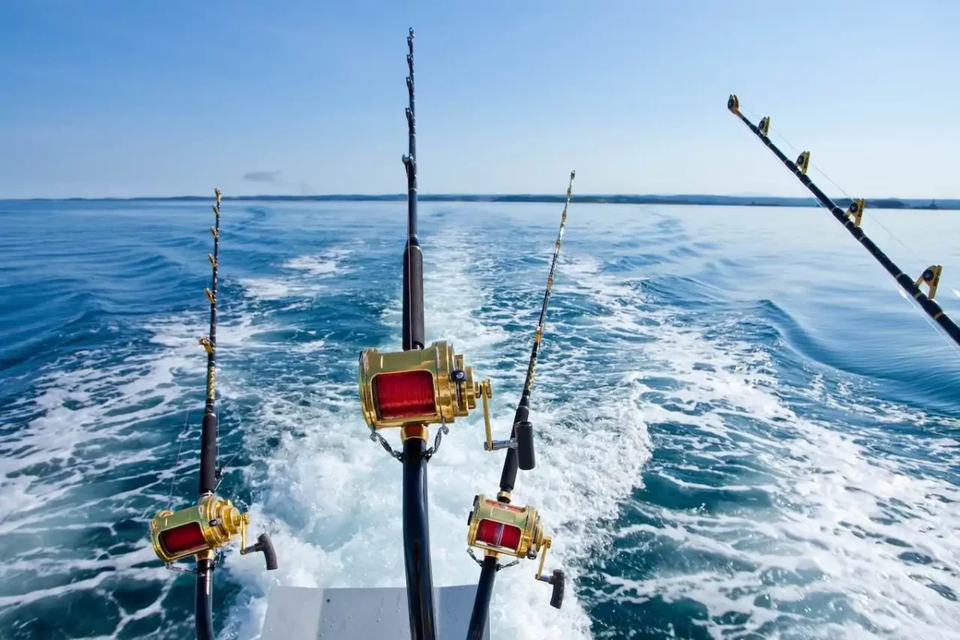 Charleston fishing charter