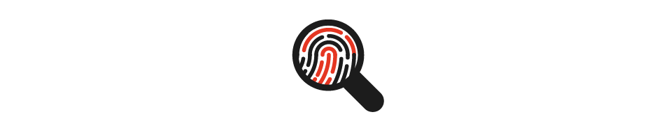 investigation plan