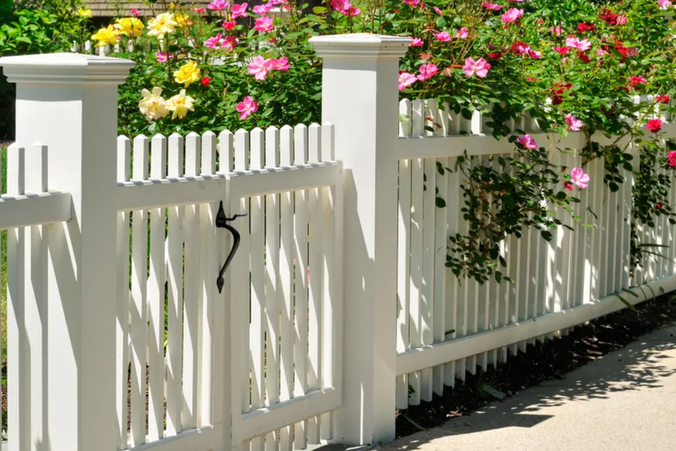Fence   gate