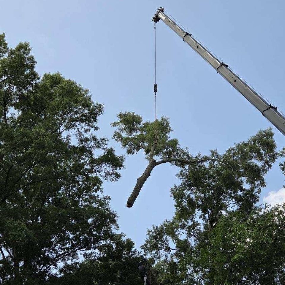 507031621 1121984623281710 9010462787222523428 n