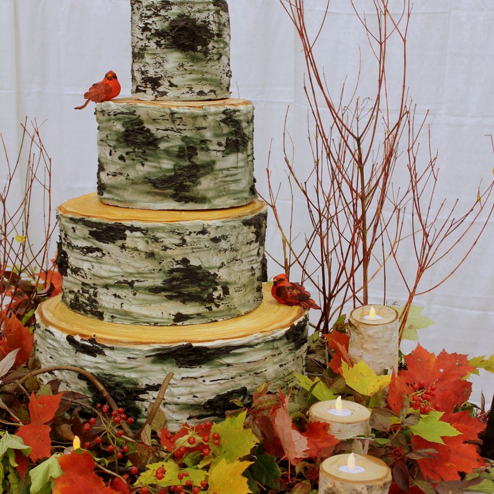 Wed cake 10220180617 9393 hjw796