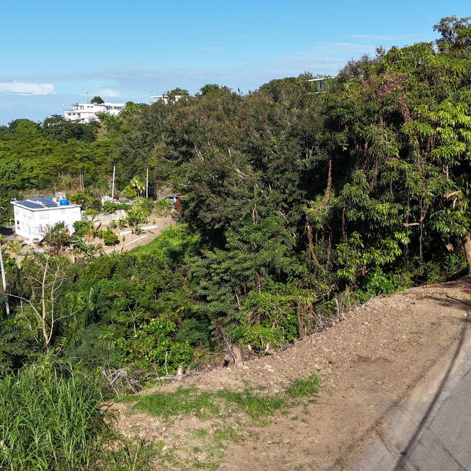 Dji 20251205082035 0026 d