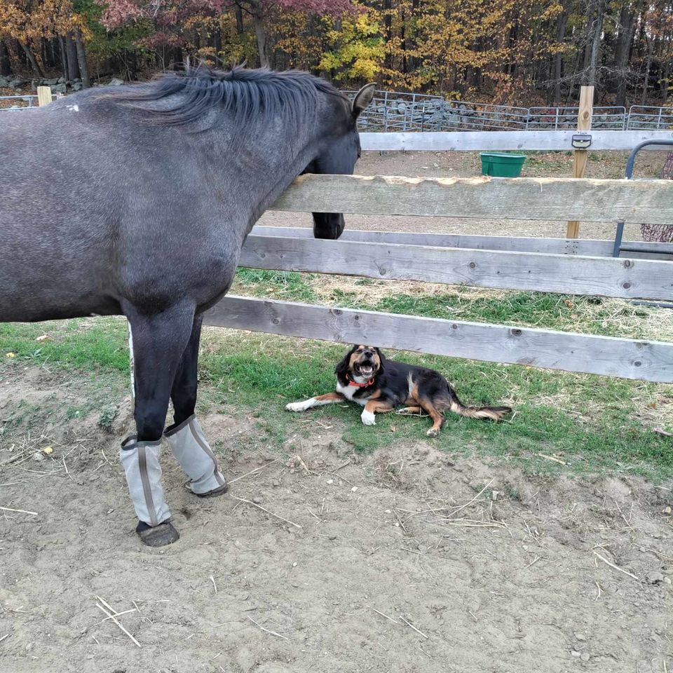 Received 1096317865386874