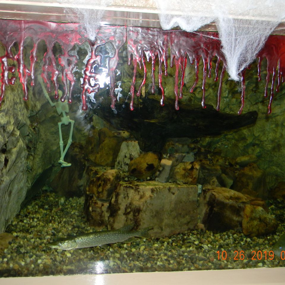 Dscn6422