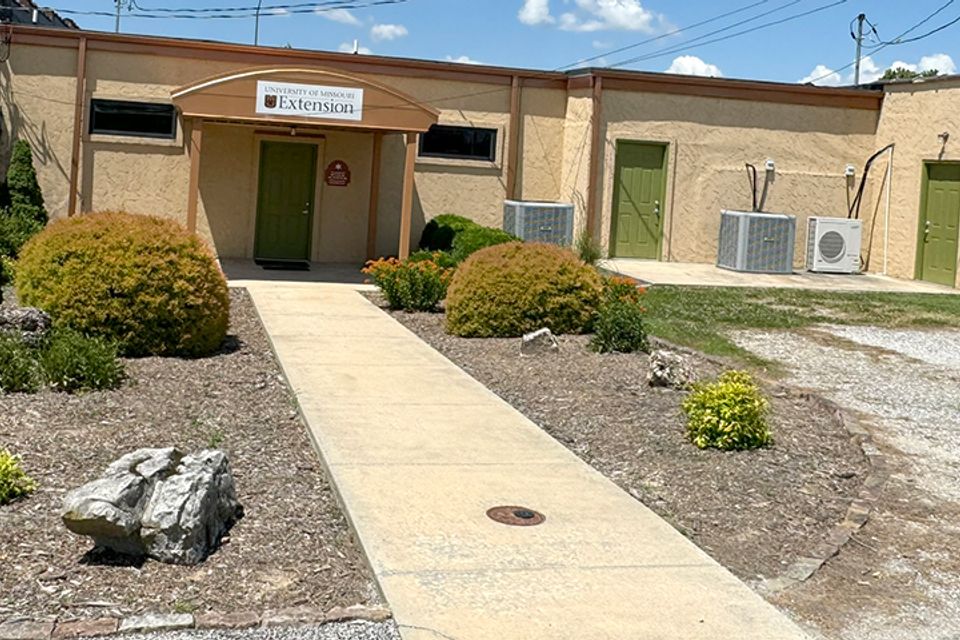 Lone star annex new