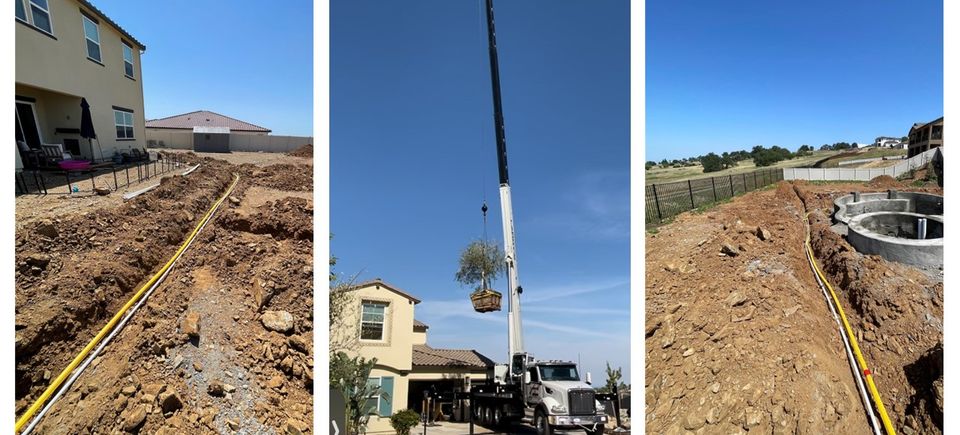 Professional arborist at Alta Vista Landscaping & Tree Service using high-angle rigging and ropes to safely hoist and lower a large cut-off log from a high tree canopy in El Dorado County