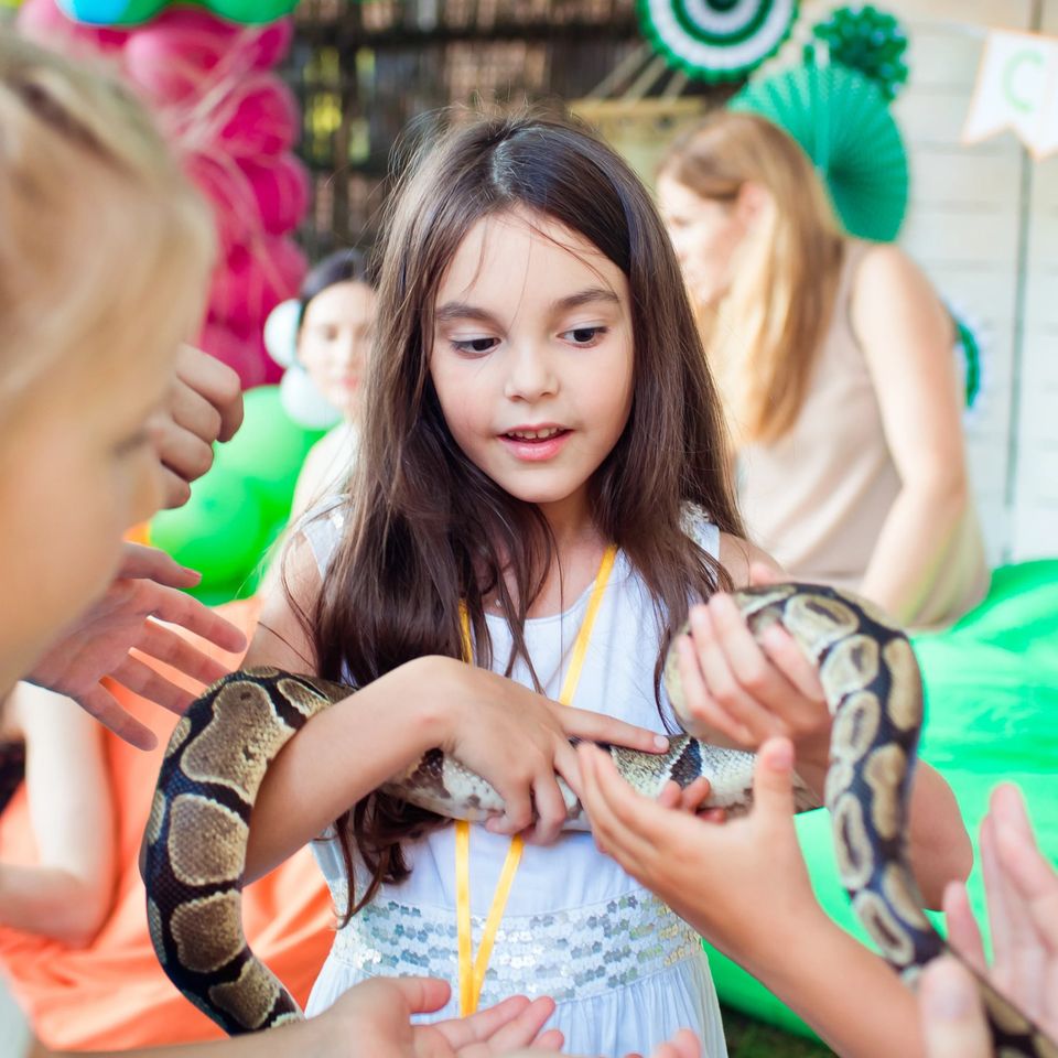 Mobile Petting Zoo Parties