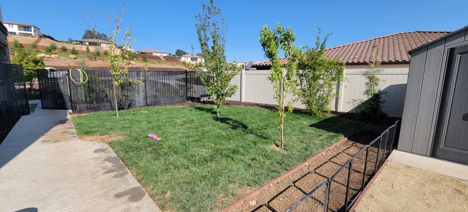 Alta Vista Landscaping