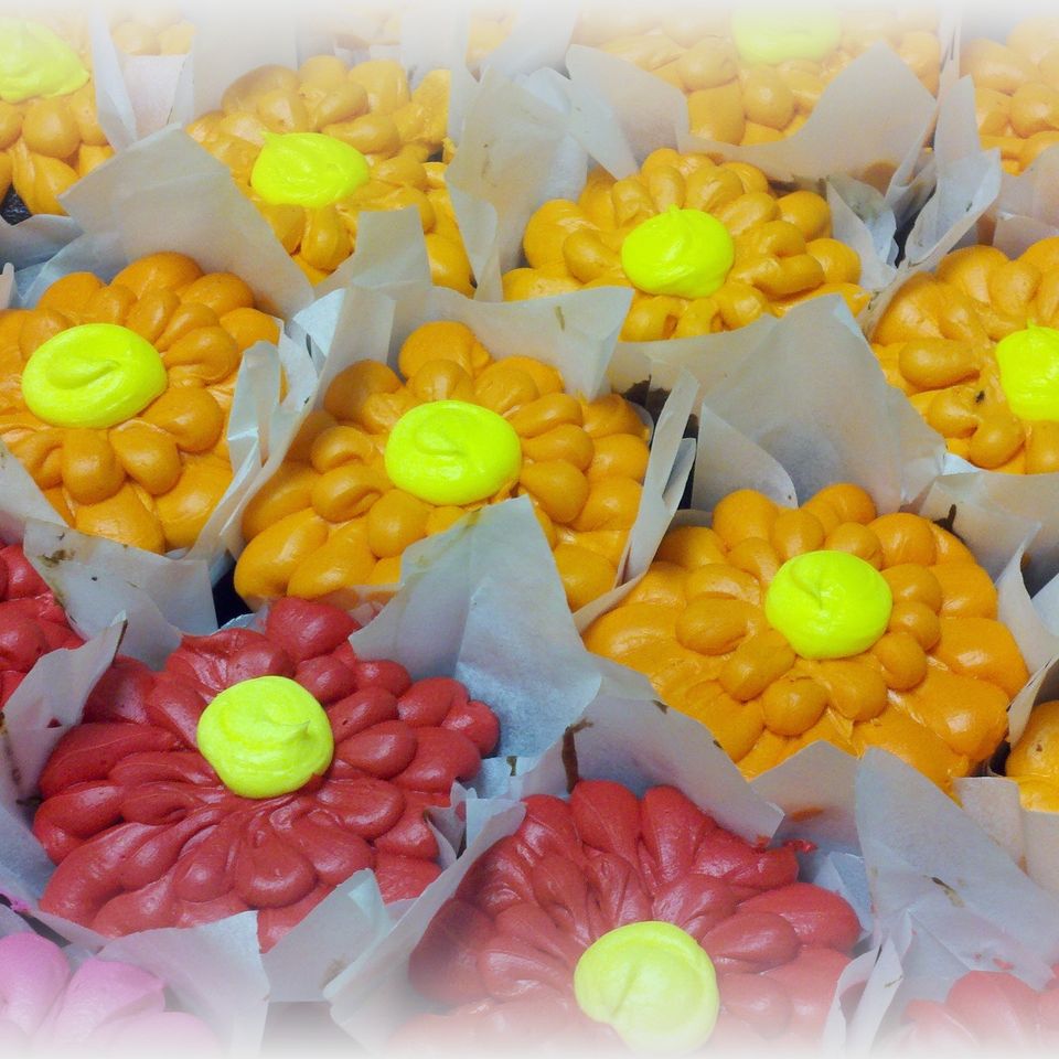 Cupcakes 10820180617 9393 h835xh