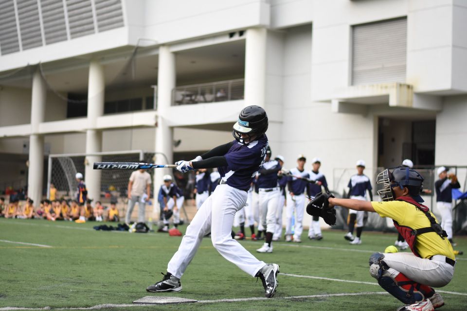 Baseball camp