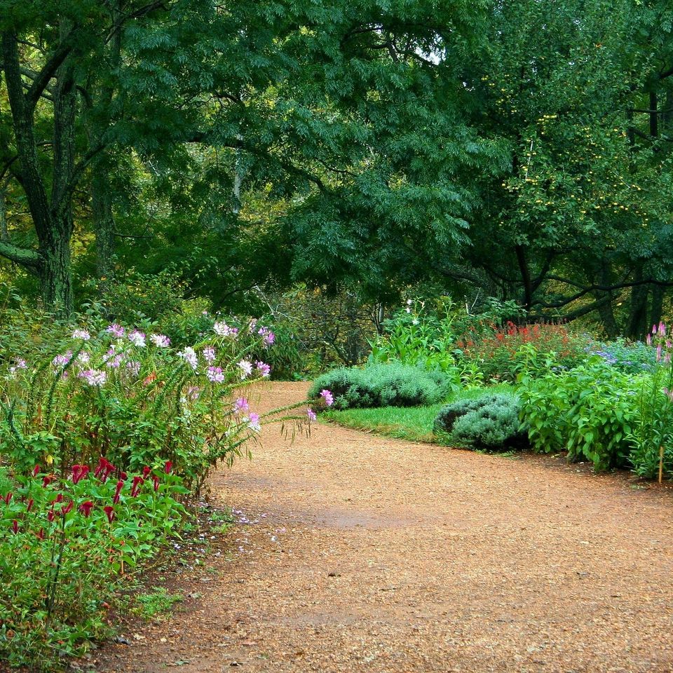 Jamesdemers garden path g65d8beb8f 1920
