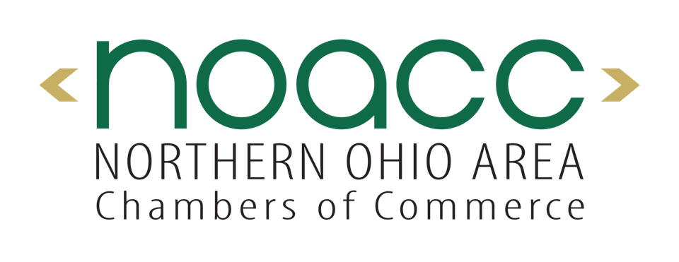 Noacc 2020logo 2048x791