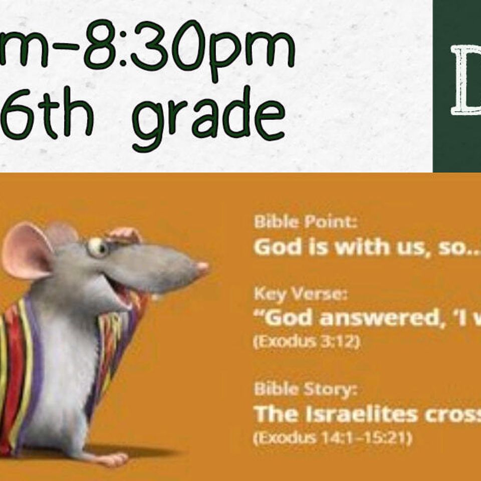 Vbs18