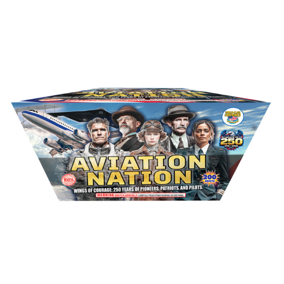 Aviation nation cv