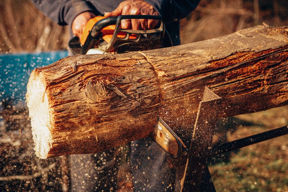 Poul cariov cejbgvqdwym unsplash