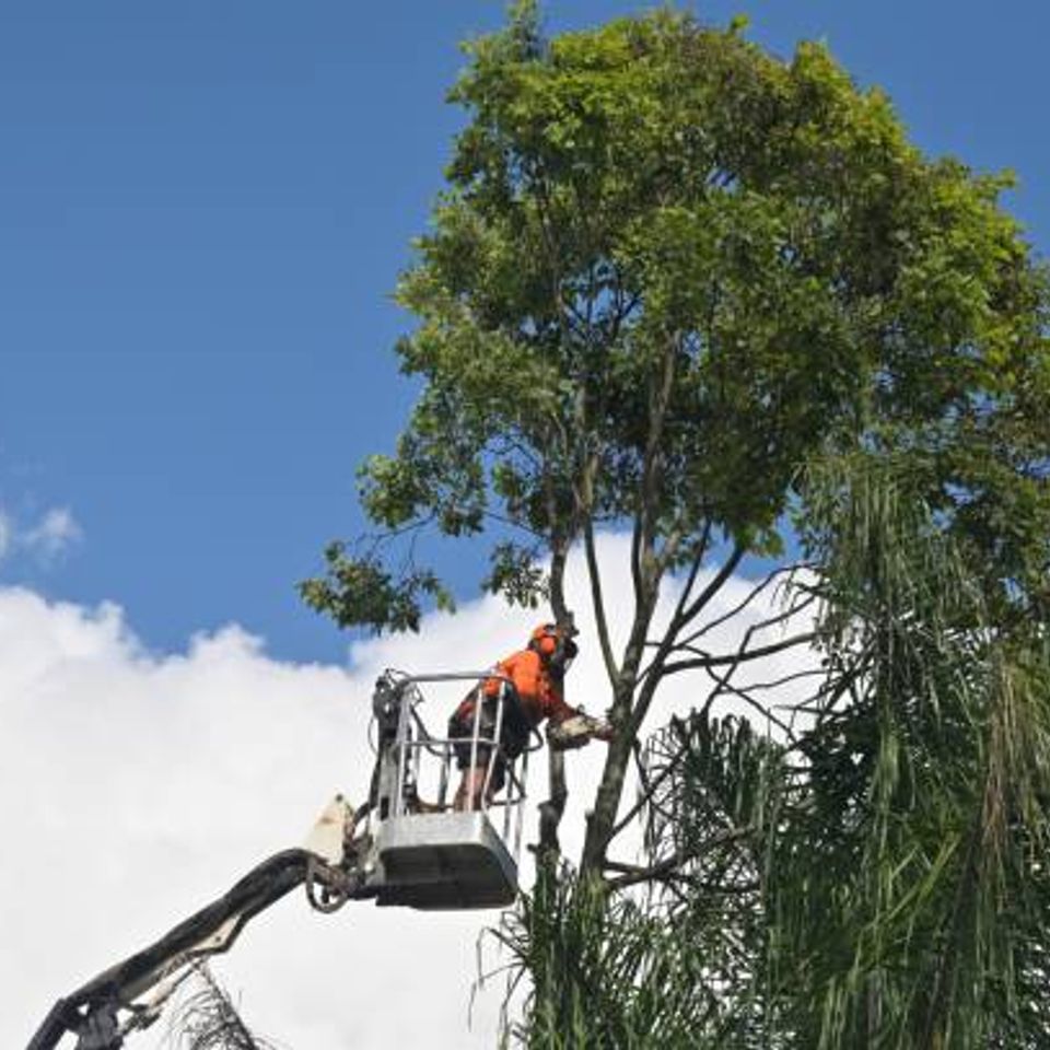 Istockphoto 2042020788 612x612