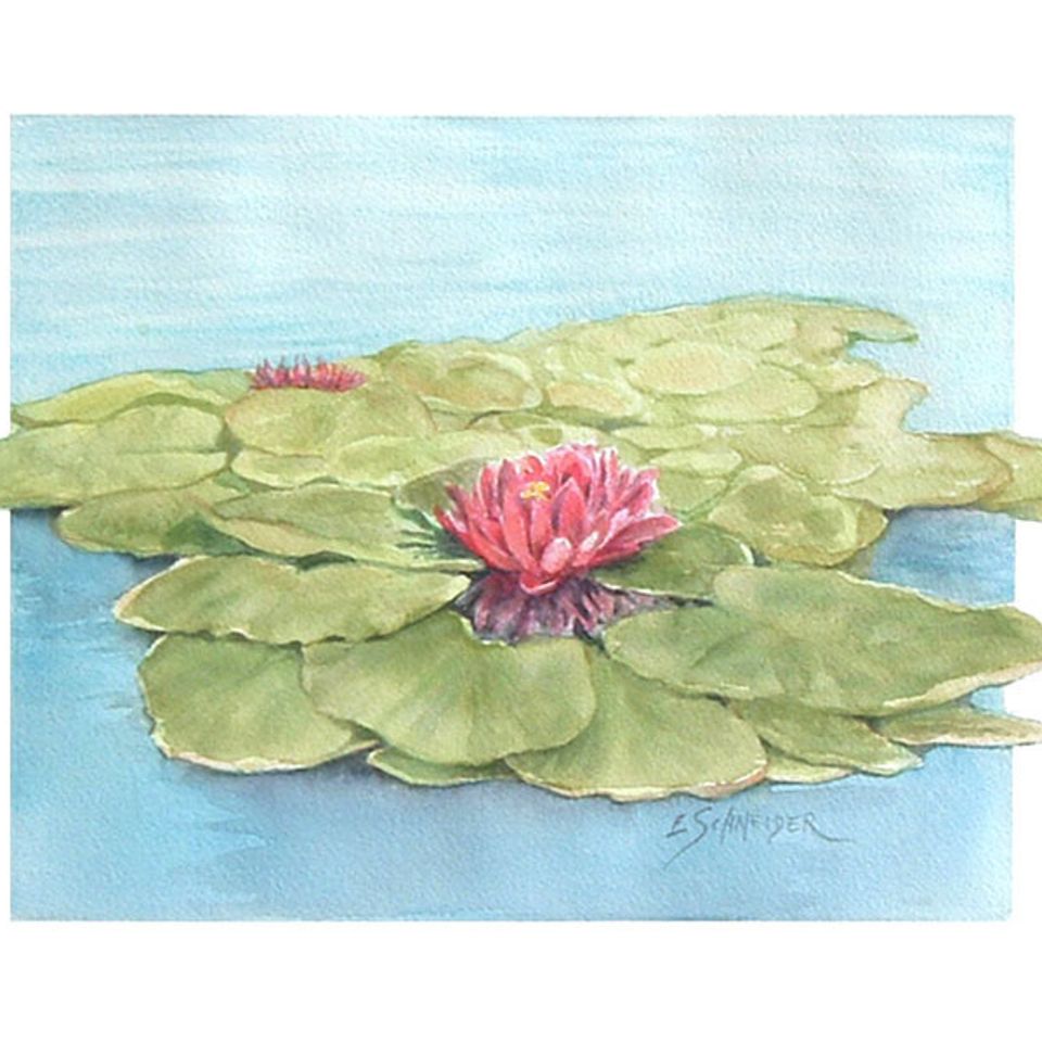 Lillies in the fountain