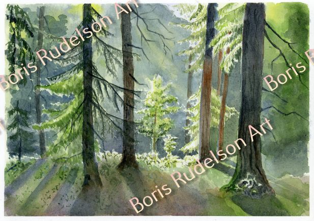 Sun in Forest. Watercolor
