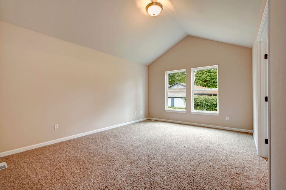 Carpet 