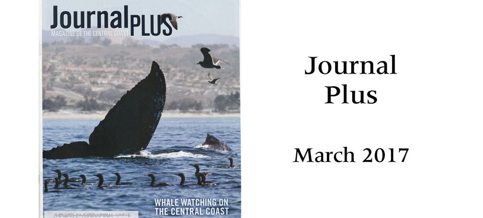Journal plus20170329 8768 agsh2v