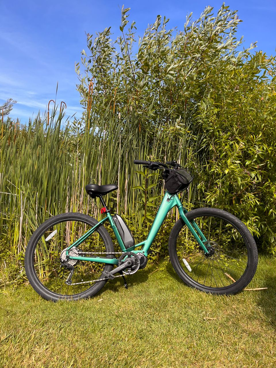 E bike