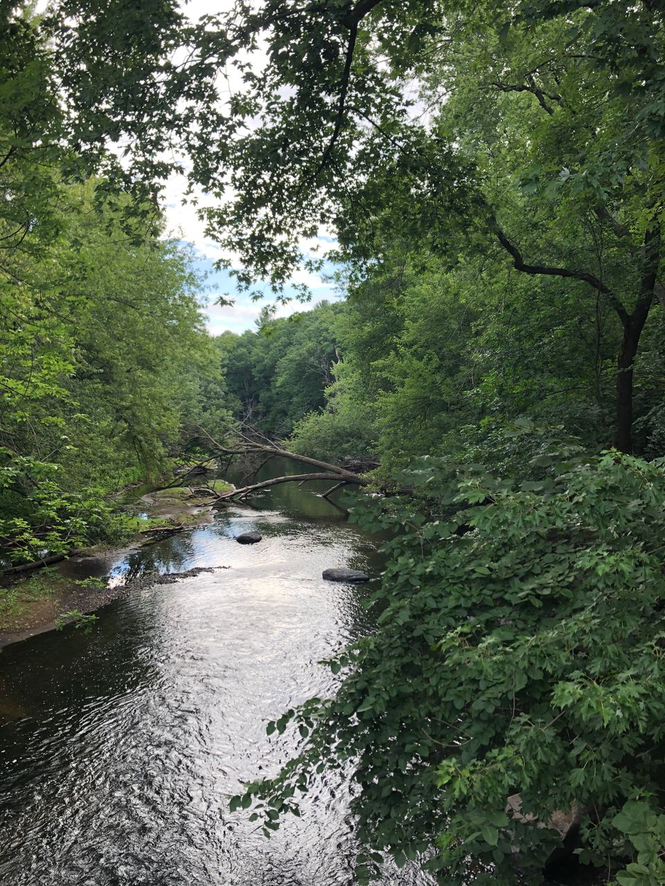 2022 8 11assabetriverbluff frompinestbridge
