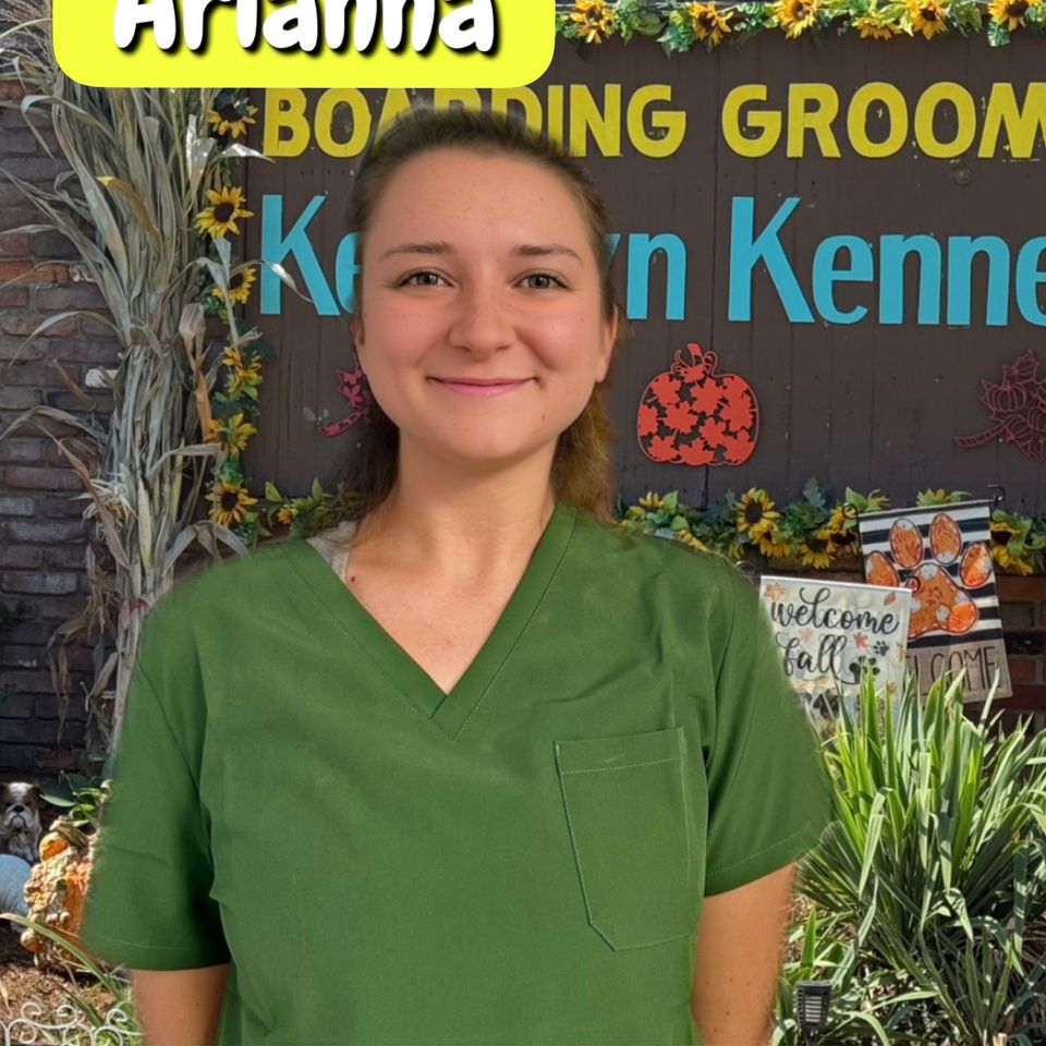 Arianna 