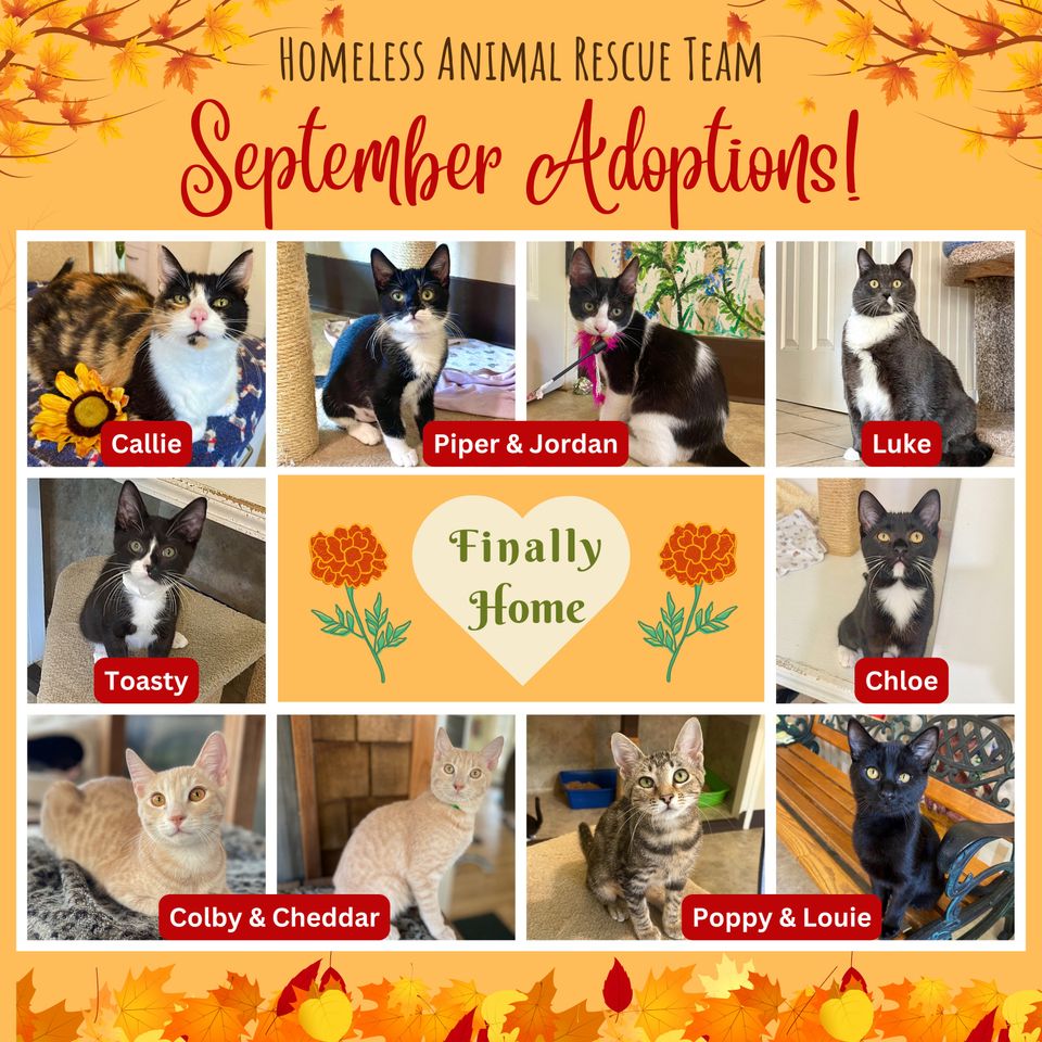  september adoptions 2025