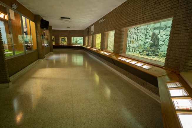 Aquarium showroom april 2020 4