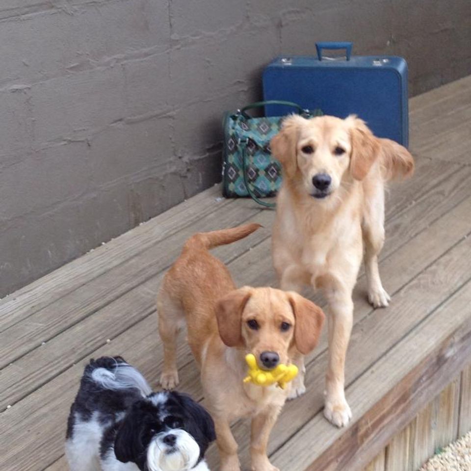 Friendships   sam  addie   lucy  packed and ready
