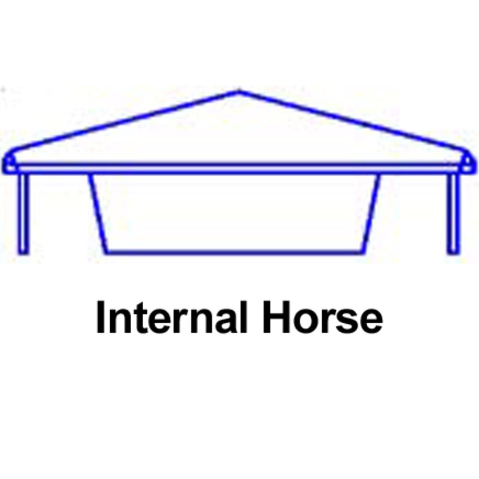 Internalhorse20150529 10869 i3hv1u