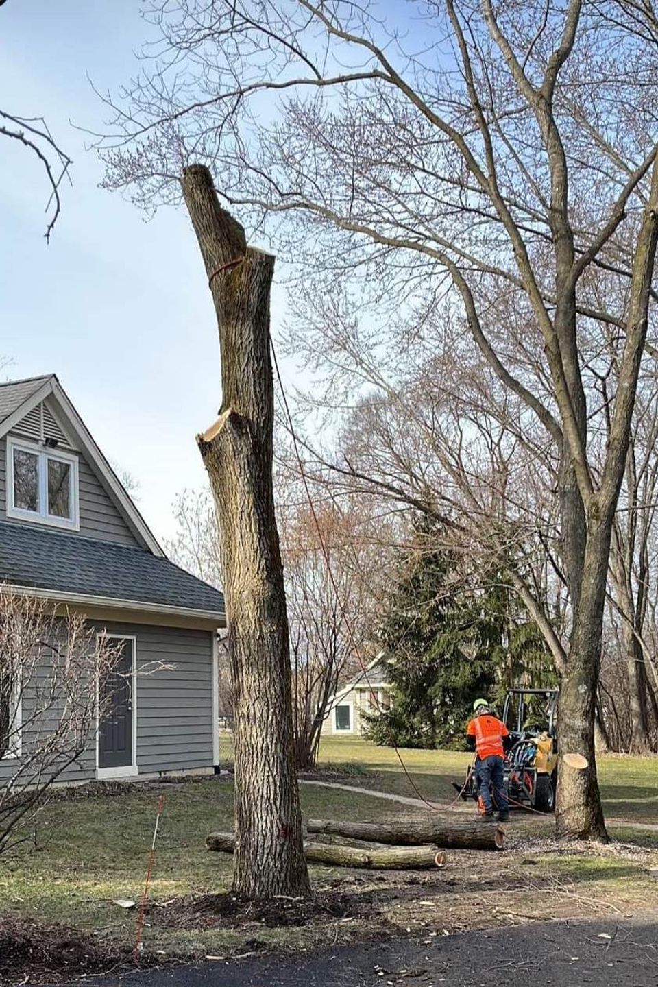 Bobby Tree Care Tree Removal