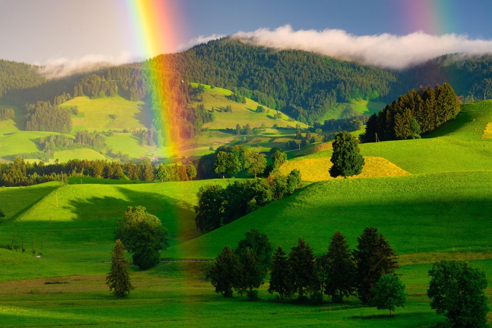 Rainbow g868353bbd 1920