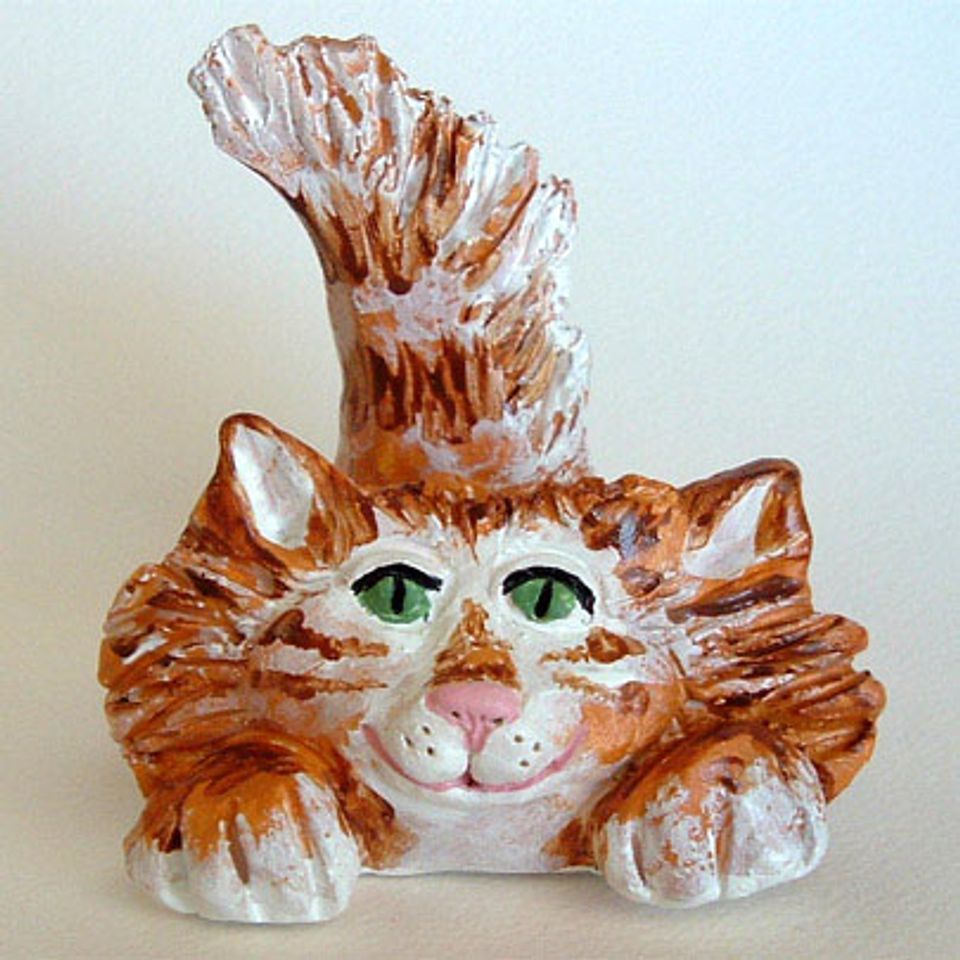 Orange striped cat