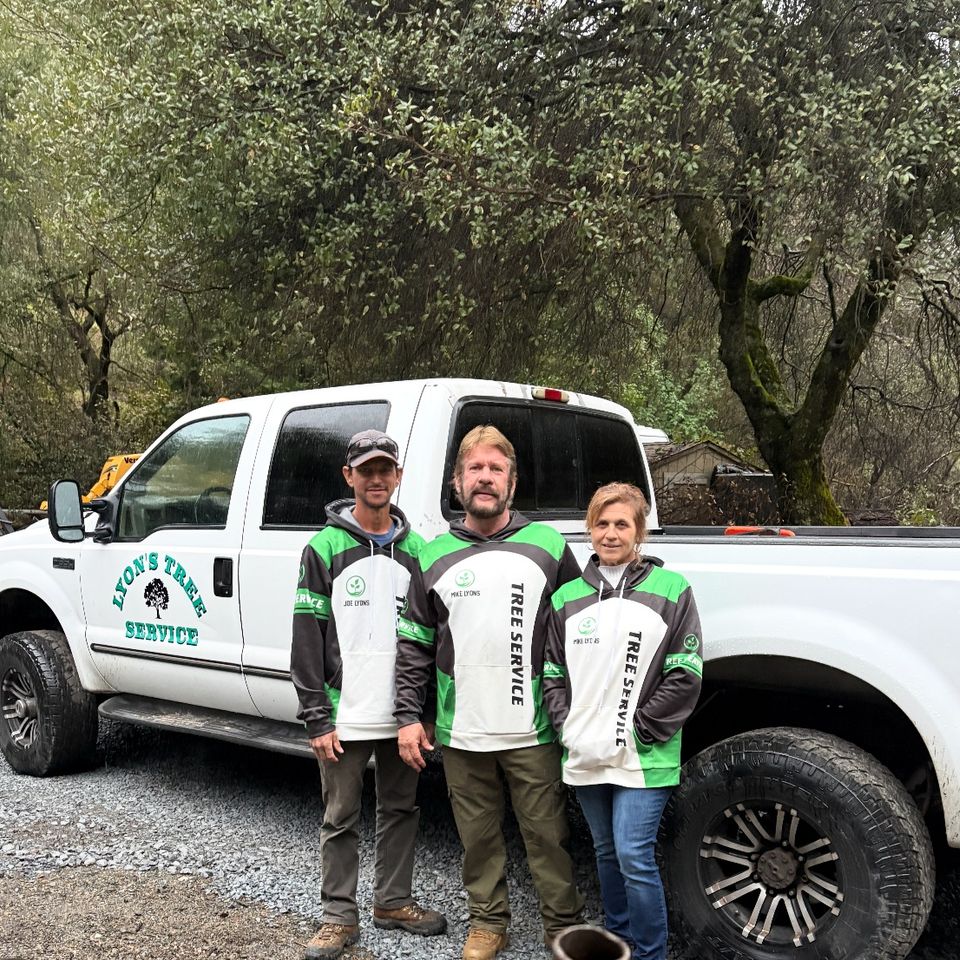 Lyons Tree Service Auburn Ca