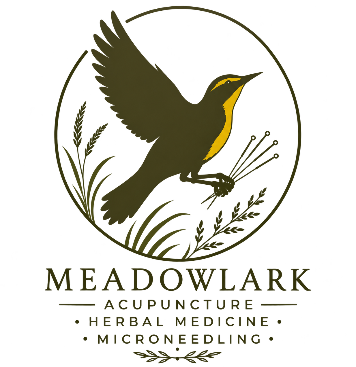 Meadowlark Acupuncture 