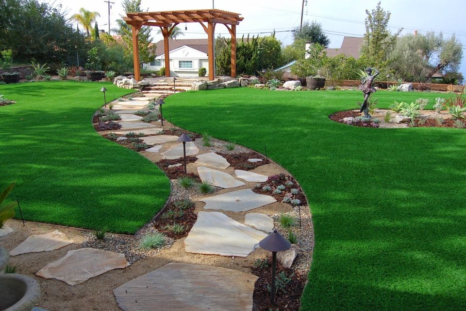 Back yard 2 (1)