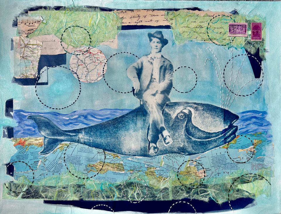 Latimer baleine 18x4