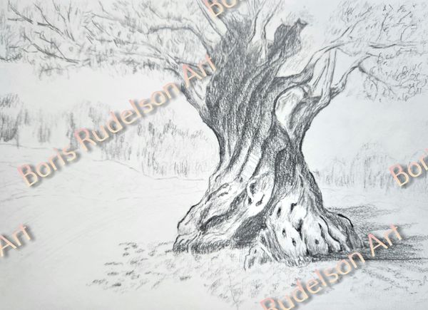 Old Tree