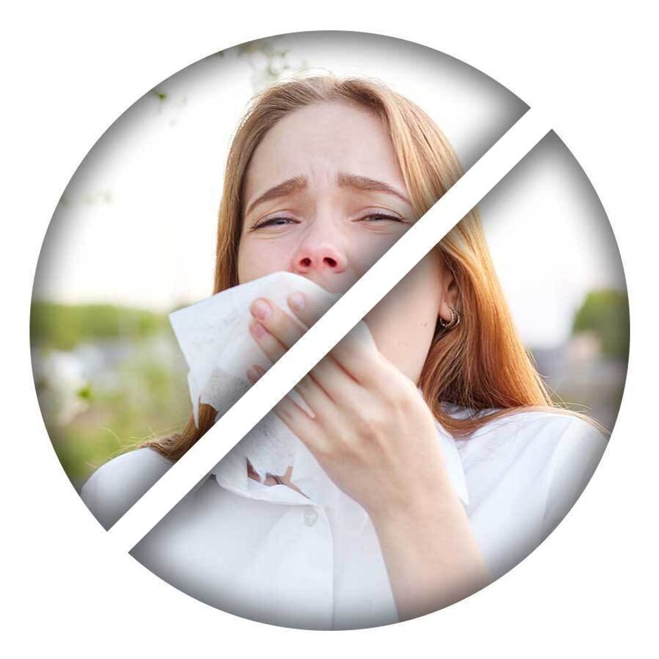 Icons no allergens
