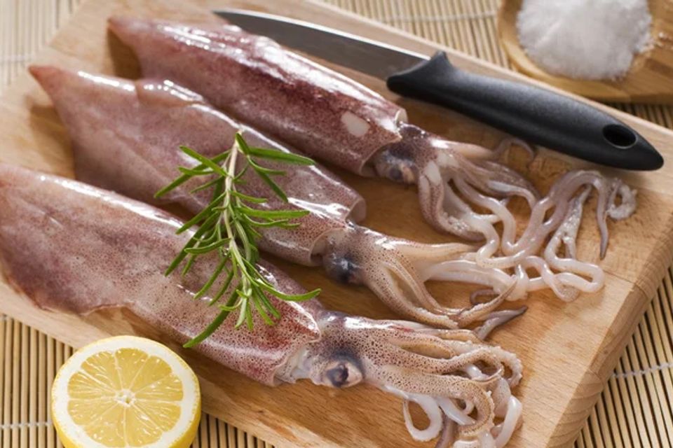Benefits squids