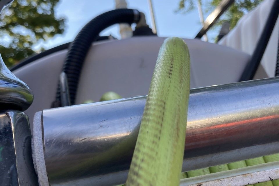 Plant health 4 (4 14 23)